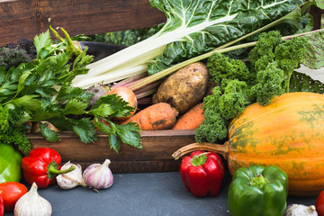 Assortment of fresh vegetables. Healthy organic food concept