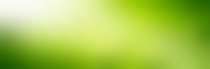 Green summer empty background. Spring light banner. Bio blurred texture. Fresh greens vignette abstract illustration. Exquisite style image.