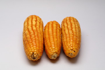 Animal feed ,Dried corns on white background 