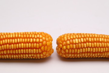 Animal feed ,Dried corns on white background 