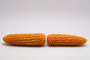 Animal feed ,Dried corns on white background 