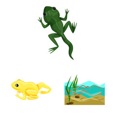 Vector illustration of frog and anuran icon. Collection of frog and animal stock vector illustration.