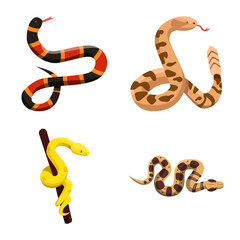 Isolated object of snake and creepy icon. Set of snake and danger stock vector illustration.