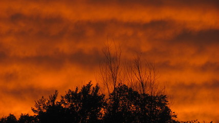 sunset, sky, tree, sun, clouds, nature, orange, silhouette, trees, evening, sunrise, landscape, cloud, red, dusk, winter, autumn, beautiful, yellow, summer, forest, morning, light