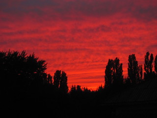 sunset, sky, clouds, sunrise, sun, red, nature, orange, cloud, evening, landscape, dusk, silhouette, trees, beautiful, color, morning, blue, light, twilight, night, dawn, tree, purple