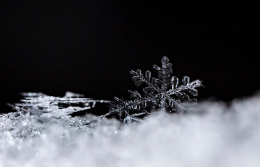 natural snowflakes on snow, winter