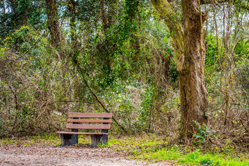 A beautiful overlooking view of nature in Tallahassee, Florida