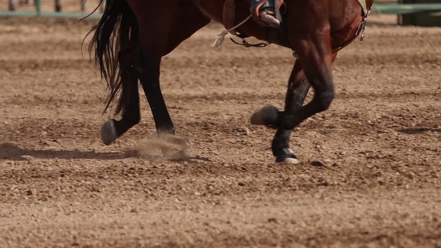 Close Up of Horse Legs in Arena in Slow Motion - Shallow Depth of Field.