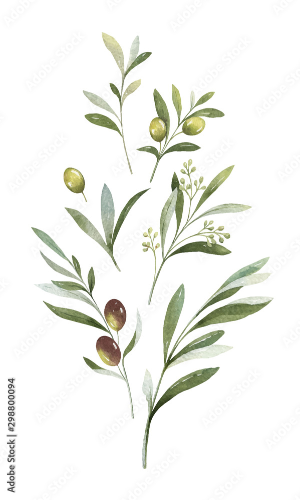 Wall mural Watercolor vector bouquet of olive branches and flowers. - Wall murals