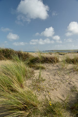 The sandy beach and dunes at Studland Bay near Swanage in Dorset on the South Coast