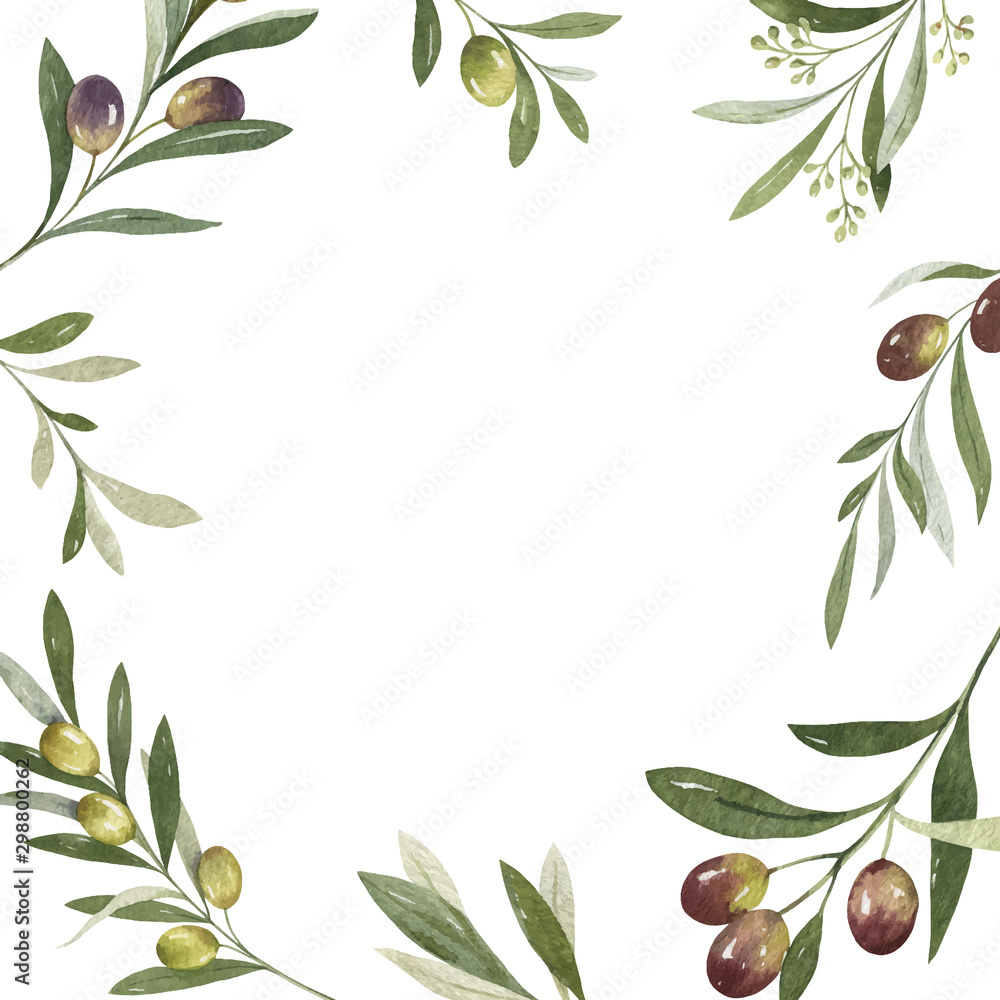 Poster Watercolor vector frame of olive branches and leaves.