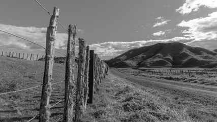 Farm Road and Fence 