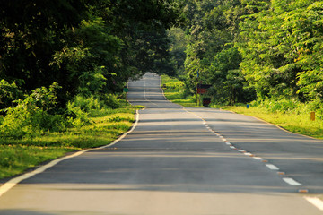 A curvy road at a cloudy day going through a forest,Assam
