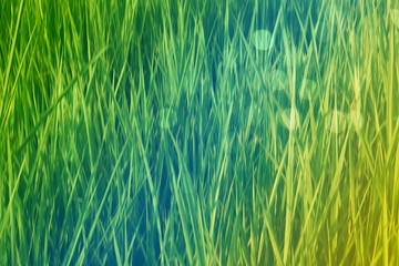 Natural blurred bokeh background in green 
