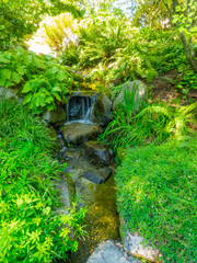 Bellevue Botanical Garden