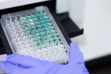 Study of fish blood composition with 96 wells microplate for laboratory testing.