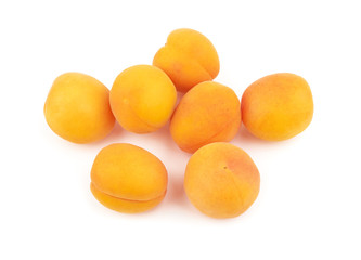 Apricots on white