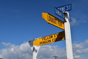 Fototapeta premium Traffic sign in New Zealand