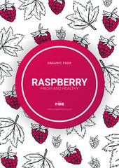 Berries banner with raspberries. Food design template with berry.