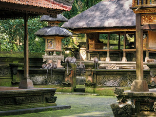 Singes dans le temple de la forêt sacré à Bali en Indonésie