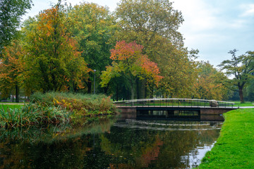 Fototapeta na wymiar City park, trees reflection on the pond water, autumn. Rotterdam, Netherlands.