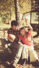 Fototapeta premium Our pumpkins are the most beautiful.