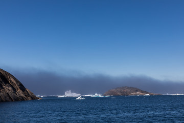 Die Wildnis Grönlands