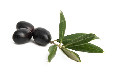 olives with leaves isolated