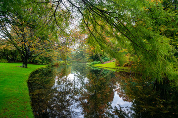 City park, trees reflection on the pond water, autumn. Rotterdam, Netherlands.