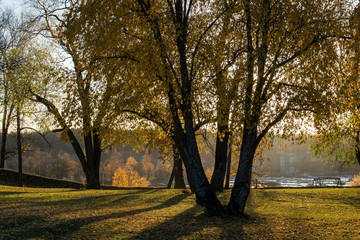 autumn foliage in city park, Lappeenranta Finland