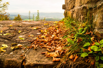 autumnal painted leaves on a castle wall with blurred landscape in the background