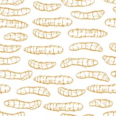 Hand drawn spiceTurmeric. Vector seamless pattern. Sketch illustration