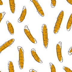 Hand drawn spiceTurmeric. Vector seamless pattern. Sketch illustration