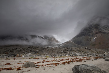 Die Wildnis von Grönland