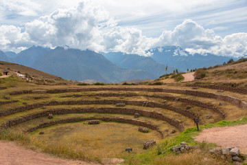 The Incan terraces at Moray (Peru)