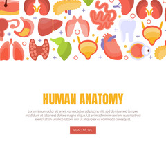 Human Anatomy Landing Page Template with Internal Organs, Healthcare and Medical Vector Illustration