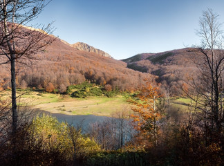 Lagastrello aka Paduli lake in the Apennine Mountains National Park, Italy. Here, glimpsed through the trees in late autumn.