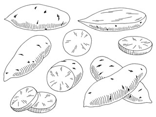 Sweet potato vegetable graphic black white isolated sketch illustration vector