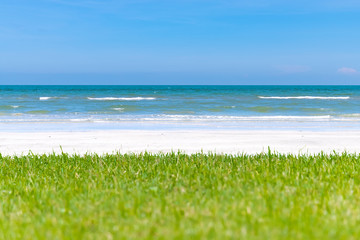 Green meadow near seaside with white beach, blue sea and clear blue sky in background