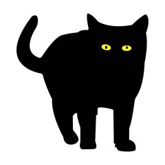 Black cat silhouette on a white background