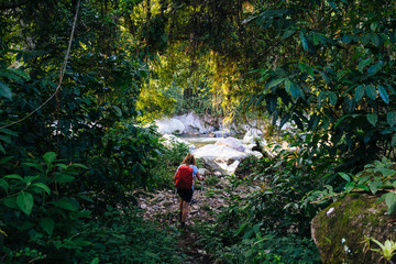 A woman with a daypack and walking sticks is hiking through the dense rainforest of the Sierra...