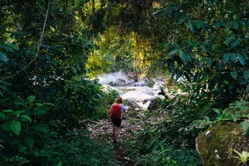 Fototapeten A woman with a daypack and walking sticks is hiking through the dense rainforest of the Sierra Nevada to the pre-Columbian city Ciudad Perdida © JoergSteber