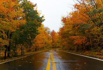 Obraz premium Fall foliage of the Canadian countryside (Quebec). Luxurious and colorful maple trees and other types of tree. Beautiful landscape taken from the yellow-lined road perspective.