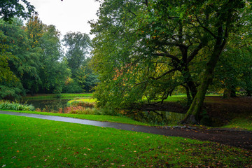 Fototapeta na wymiar Beautiful autumn scene in Rotterdam city park, Netherlands.