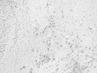 White wall texture rough background. Old cement grunge background. Abstract white grunge cement wall. Brushed white wall texture
