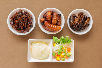 Insect food for fried Worm, Cricket and Grasshopper with vegetable salad in the white bowl. Healthy...