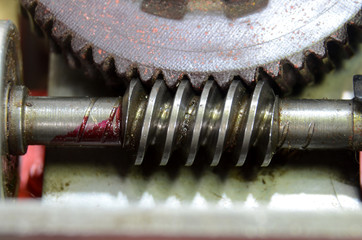 Closeup on a worm wheel gear.
