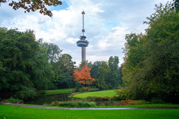 Obraz premium Euromast observation tower in Rotterdam, Netherlands. City park trees and green grass