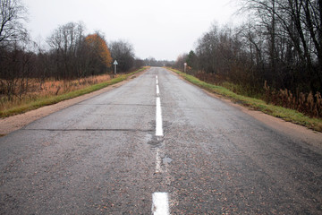 Fototapeta premium The road through the autumn forest, dropped leaves.