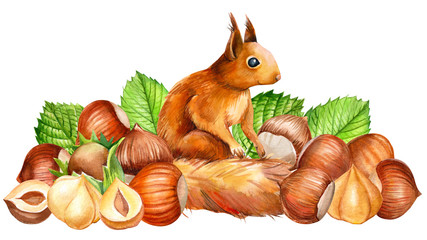 set of nuts and squirrel on a white background, sweet illustration